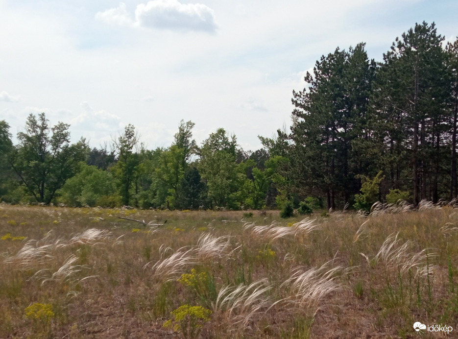 Természet