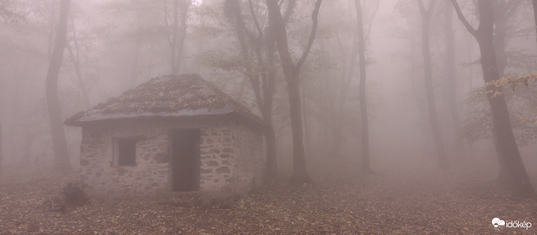 Ház az erdő mélyén 