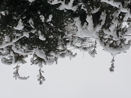 Budapest XVII.ker - Rákosliget