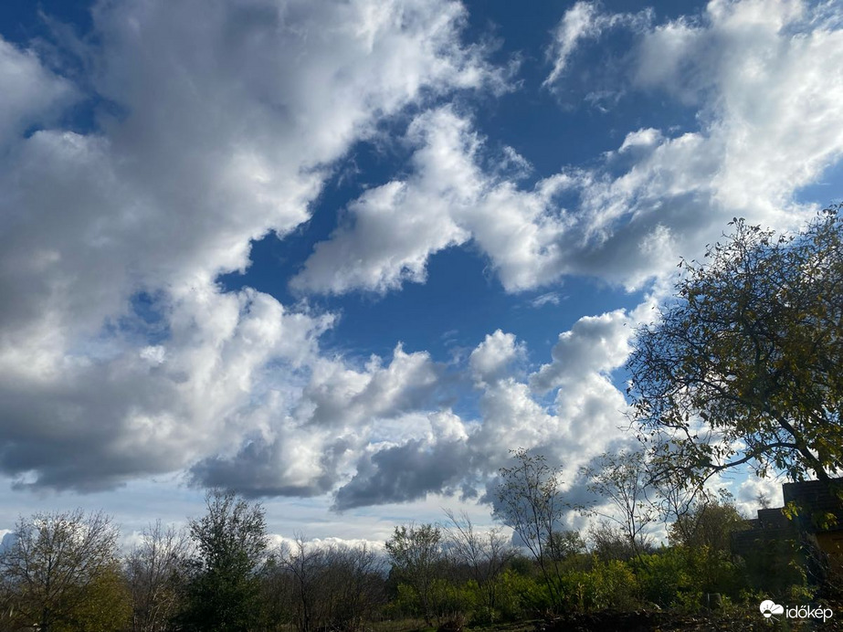 Észlelési fényképek