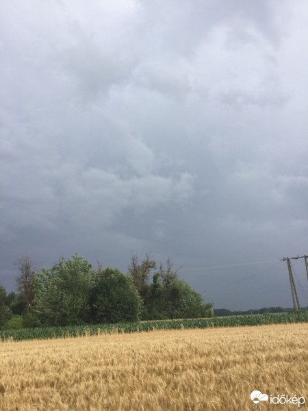 Észlelési fényképek