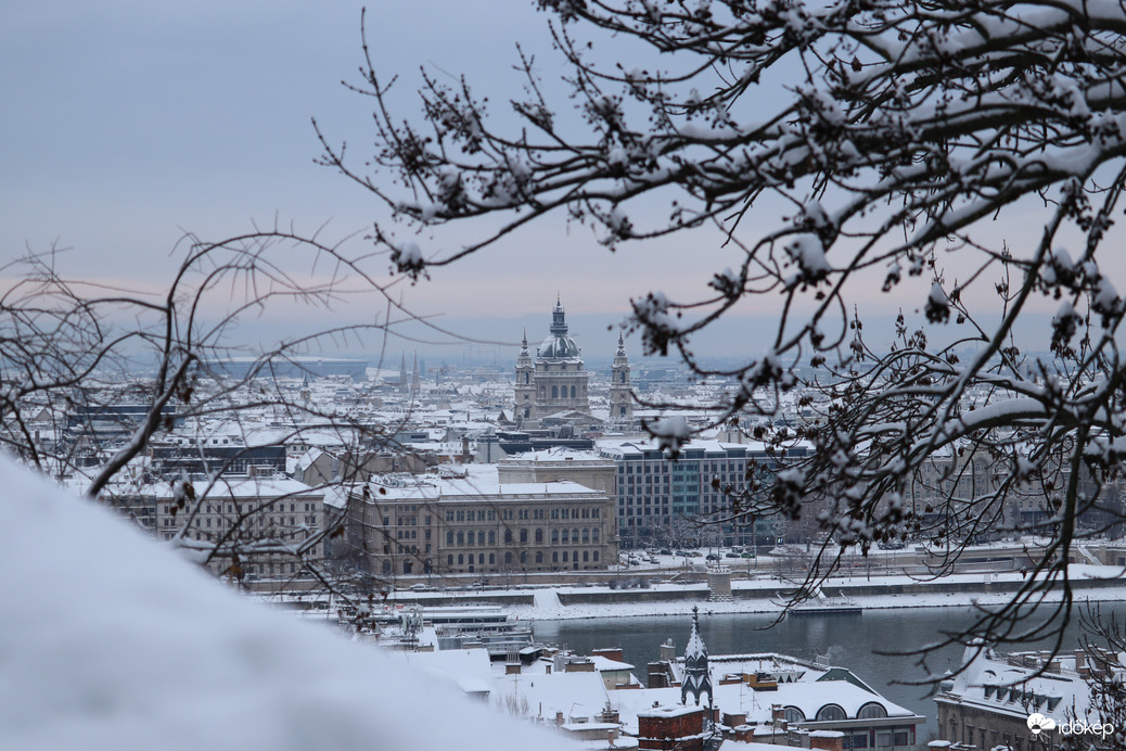 Kilátás a Halászbástyáról