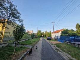 Balatonakali
