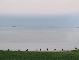 Balatonakali