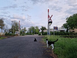 Balatonakali
