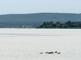 Balatonakali