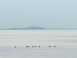 Balatonakali