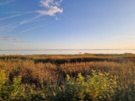 Balatonkenese