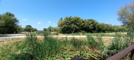 Balatonfenyves