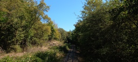 Mátrafüred