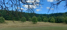 Parád