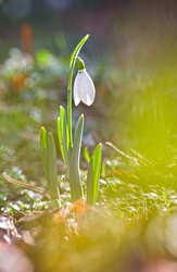Amikor éppen sütött a Nap :)