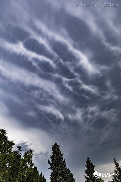 Cella után Mammatus