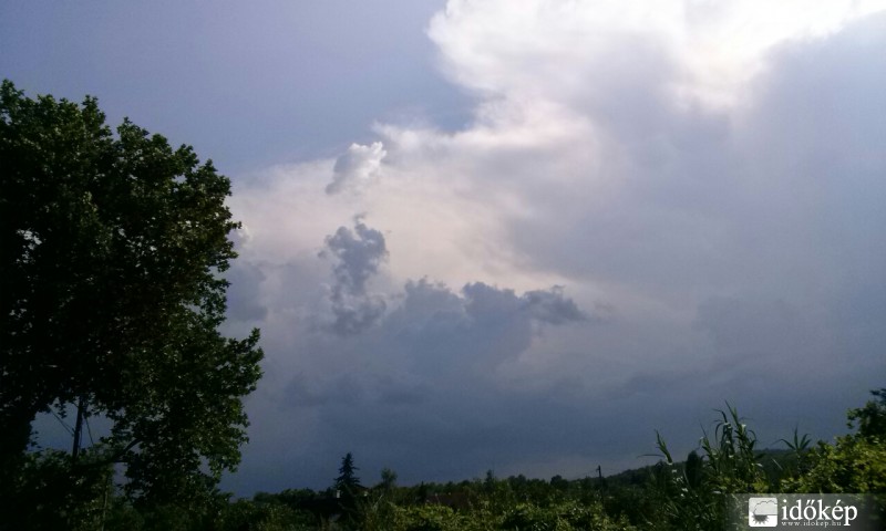 Észlelési fényképek