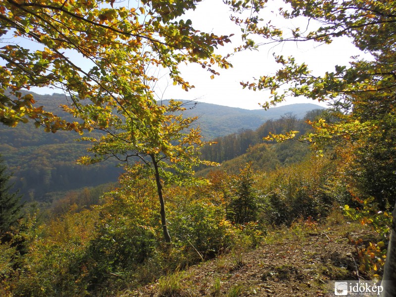 Ősz a Bükkben