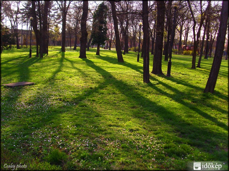 Késő délután a Petőfi parkban.