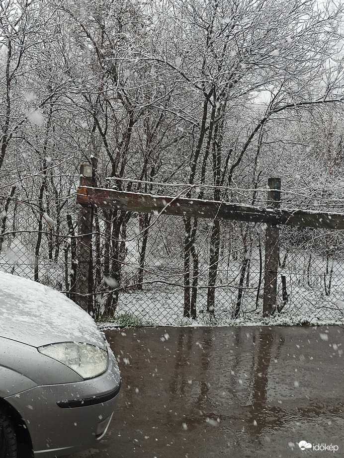 Észlelési fényképek