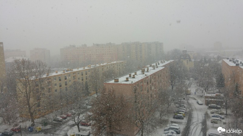 Észlelési fényképek