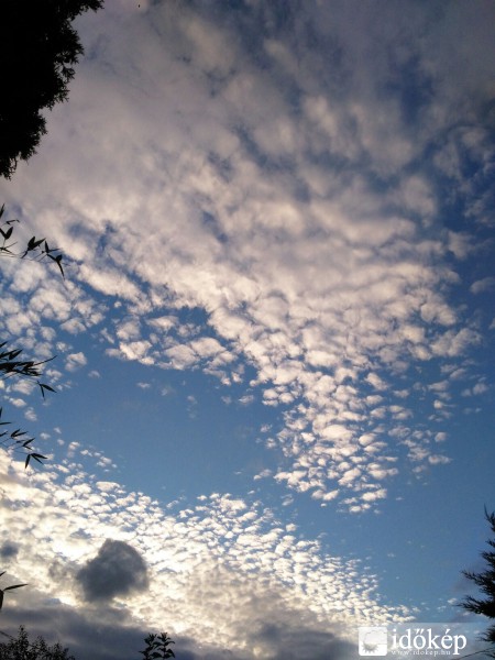 Észlelési fényképek