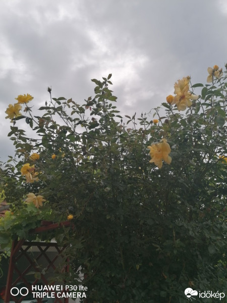 Észlelési fényképek