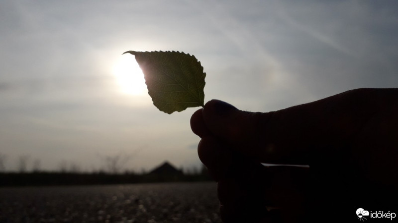 Észlelési fényképek