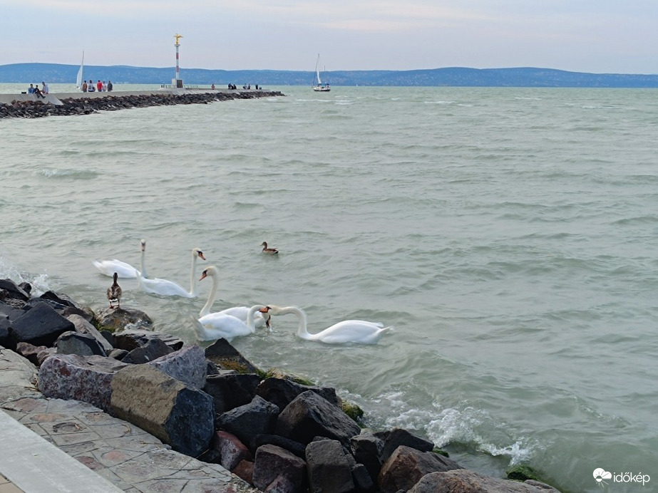 Balaton