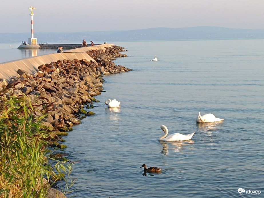 Balaton