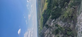cserszomorce fotója