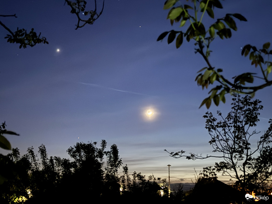 Levélben a csillagok