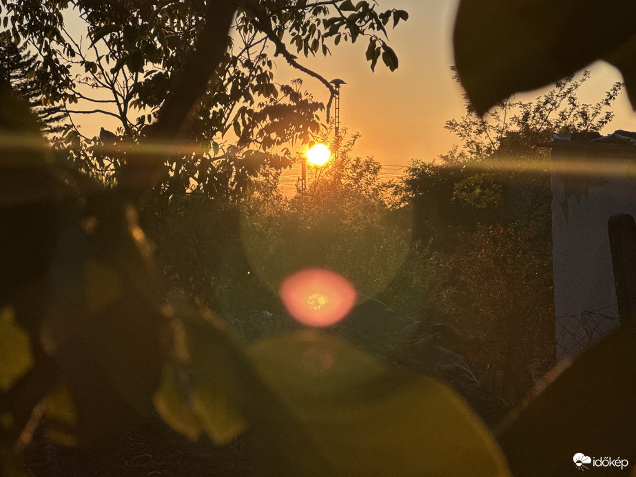 A nap a falevelekben