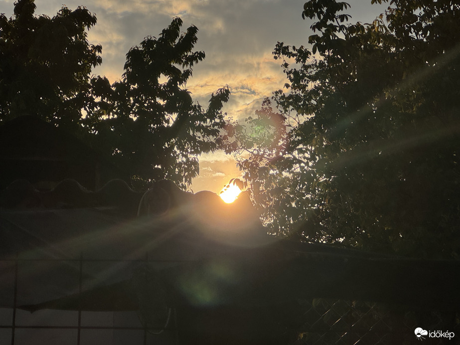 Korán kelő Nap a fák közt 