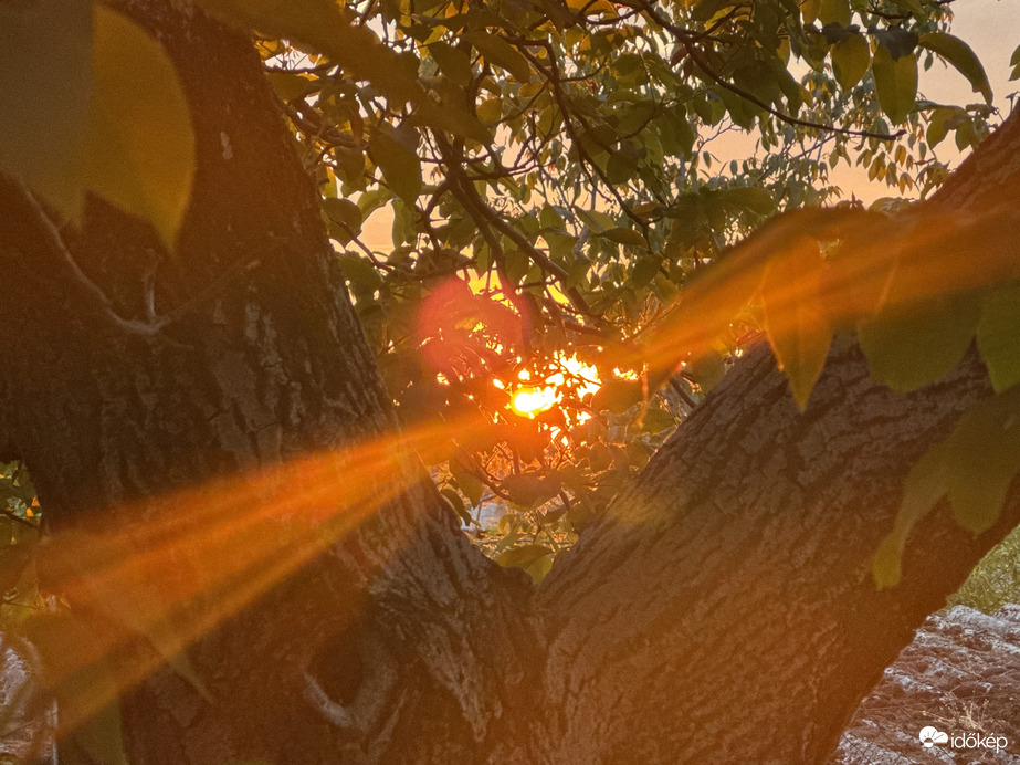 Levélben a Naplemente 