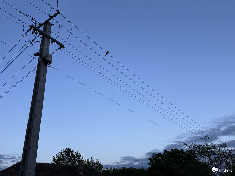 Reggeli Galamb Köszöntő