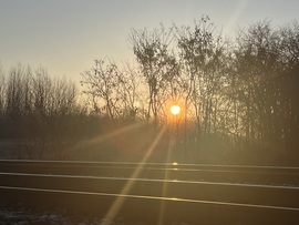 Napfény ragyogása a fák közül