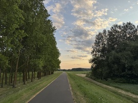 csgabor277 fotója