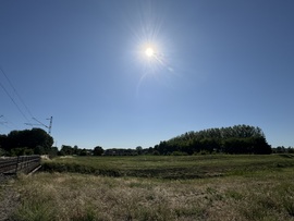 csgabor277 fotója