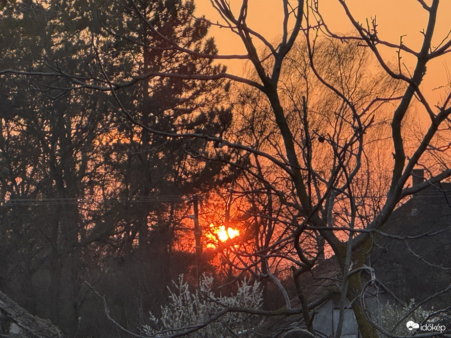 Vörös Naplemente a fák alatt 
