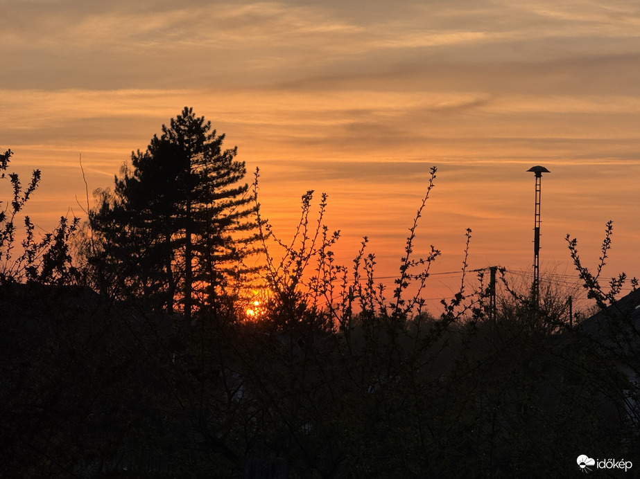 Árnyékban a fák a Nap körül 