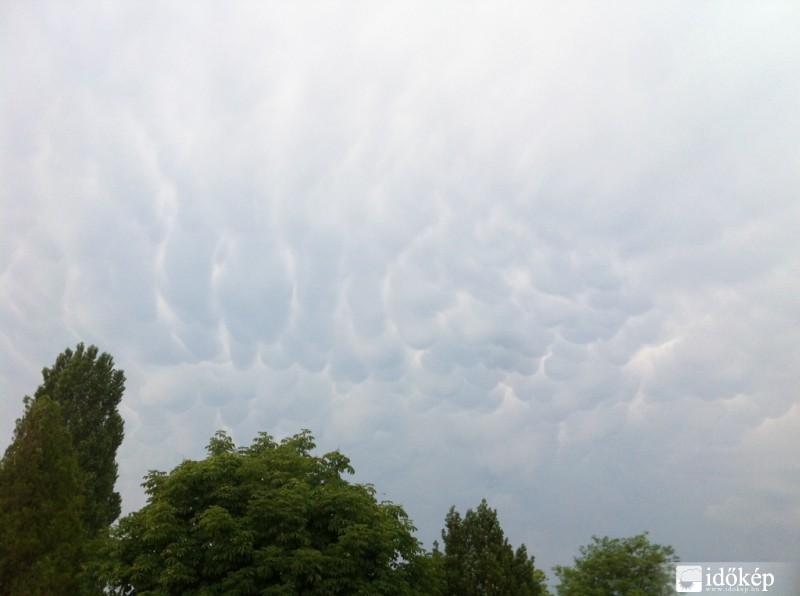 Észlelési fényképek