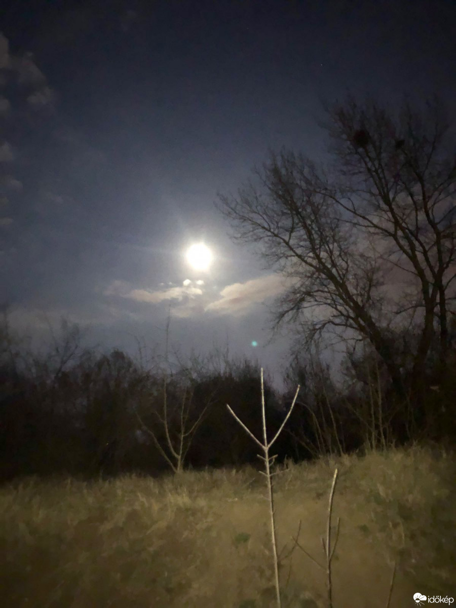 Észlelési fényképek