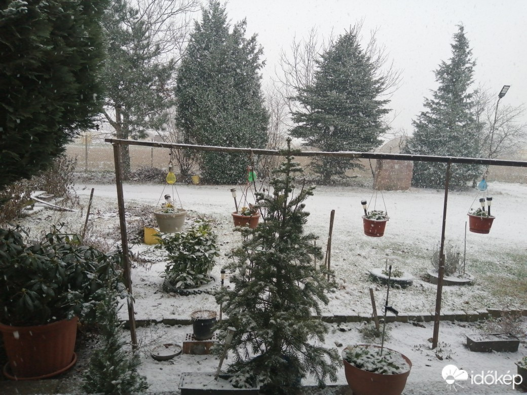 Észlelési fényképek