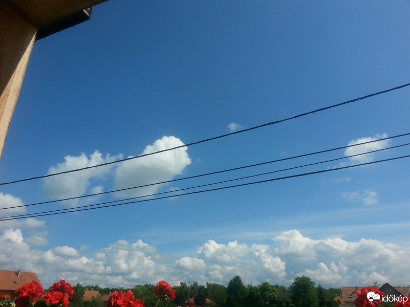 Észlelési fényképek