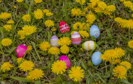 Húsvéti tojáskeresés!