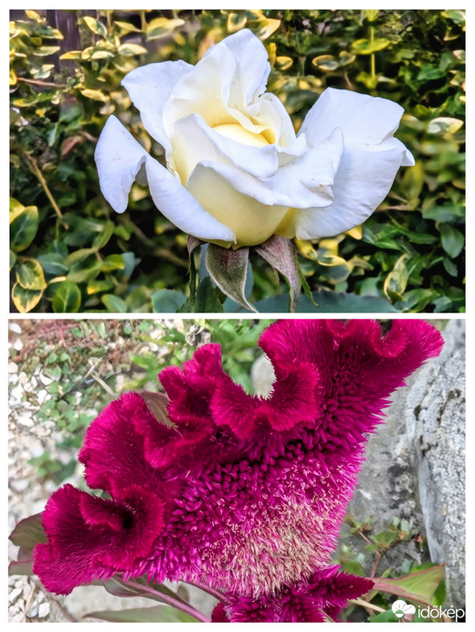 Egyik ilyen, másik olyan :))