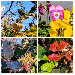 Polgárdi, végre ragyogó napsütés :)