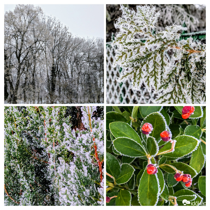 Polgárdi, ködös, zúzmarás nap 