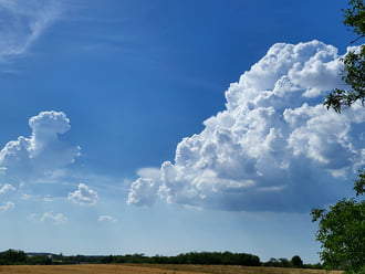 Polgárdi, 41 C