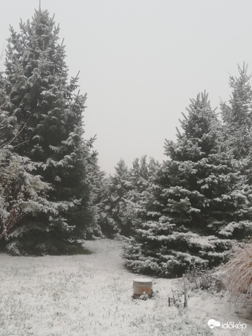 Polgárdi, első hó! Meglepetés reggelre :) 