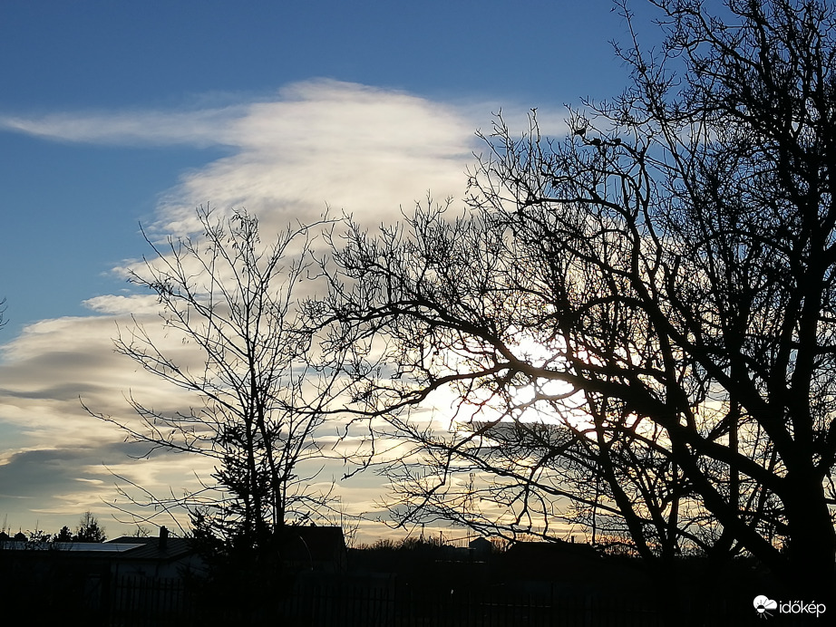 Polgárdi, az öreg diófa mögött 