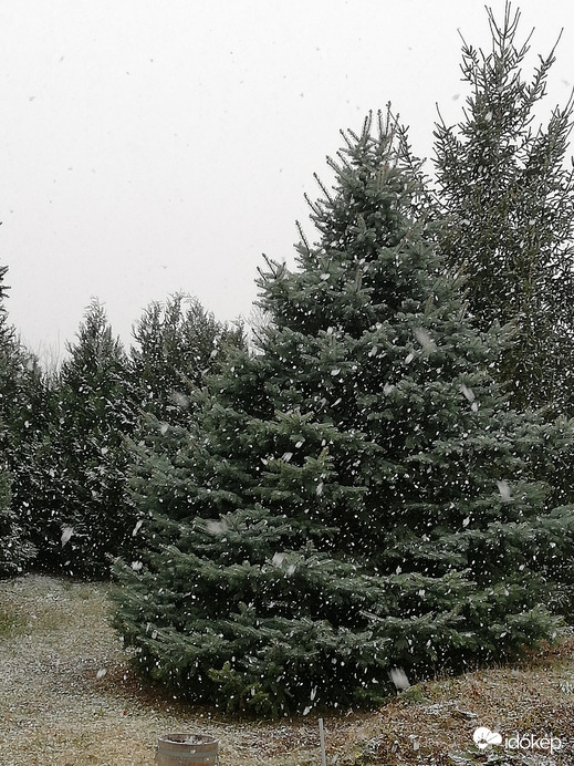 Polgárdi 2022.02. 28